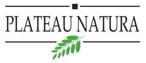 Plateau Natura Mont-Tremblant Retina Logo